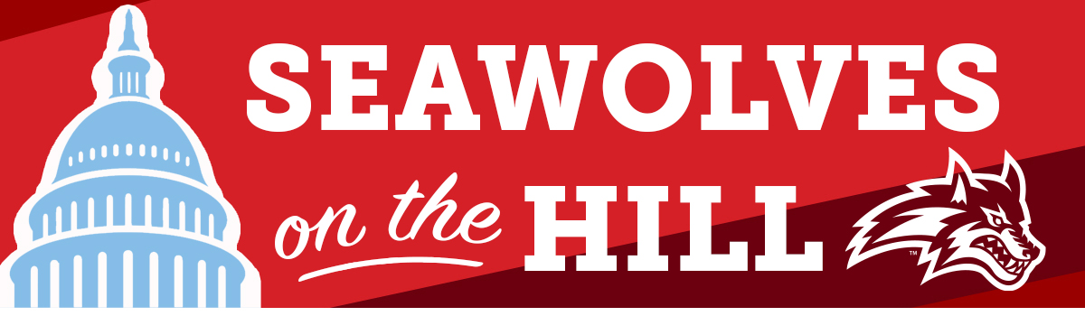 Seawolves on the Hill Banner