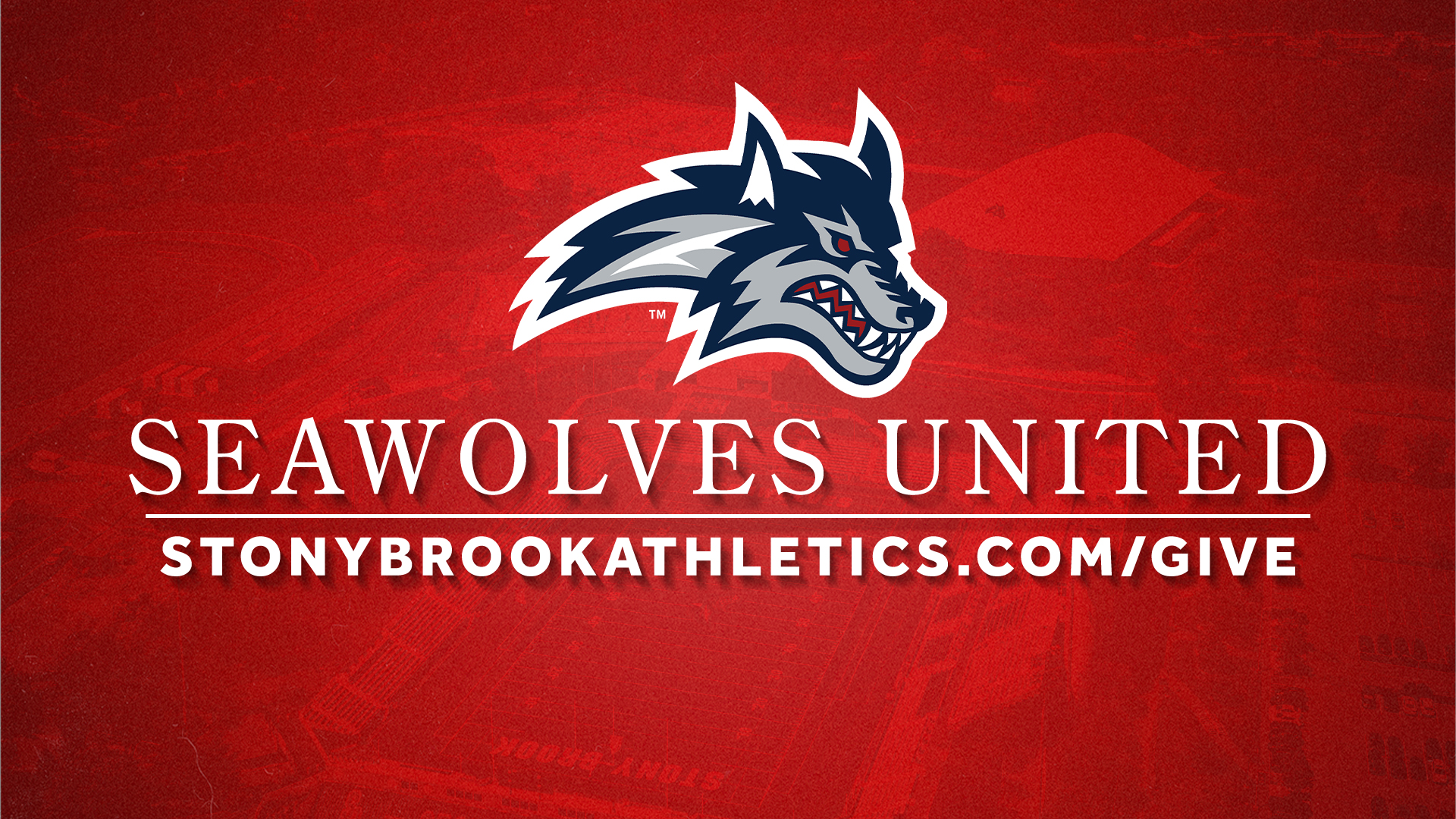 Support Seawolves United